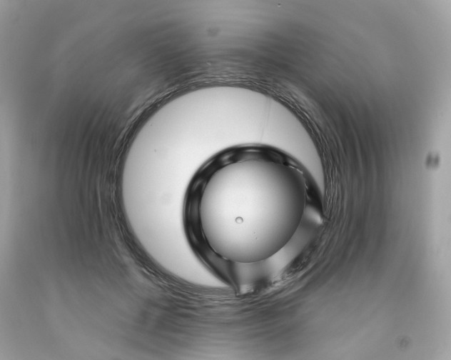 X0000091470552200709061820