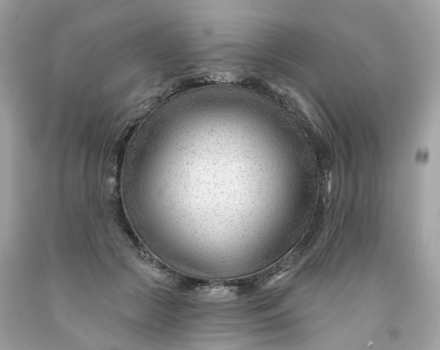 X0000091470553200709061820