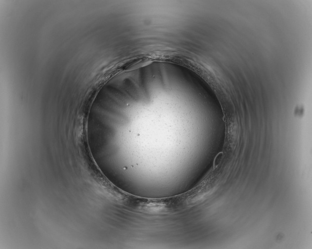 X0000091470554200709061820