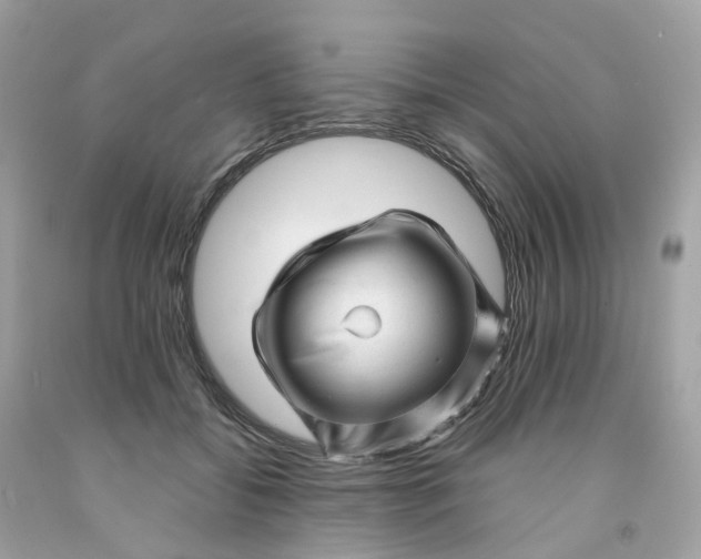 X0000091470556200709061820