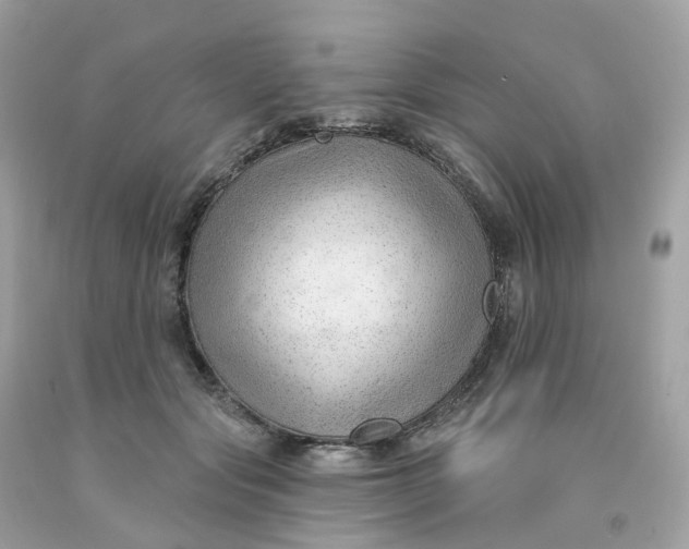 X0000091470557200709061820