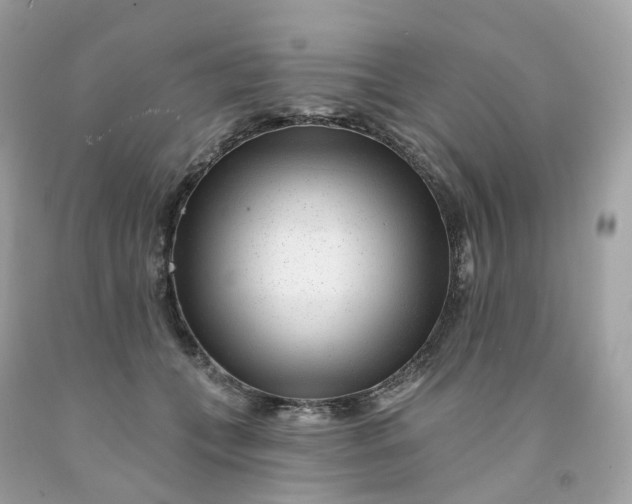 X0000091470559200709061820