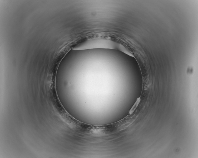 X0000091470560200709061821