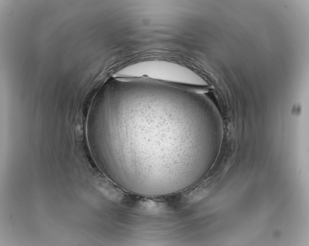 X0000091470561200709061821