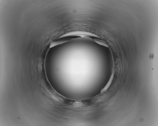 X0000091470562200709061821