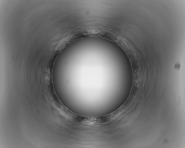 X0000091470563200709061821