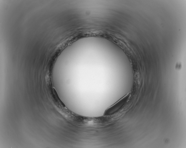 X0000091470564200709061821