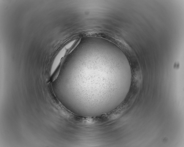 X0000091470565200709061821