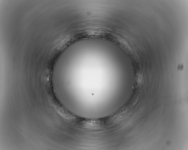 X0000091470567200709061821