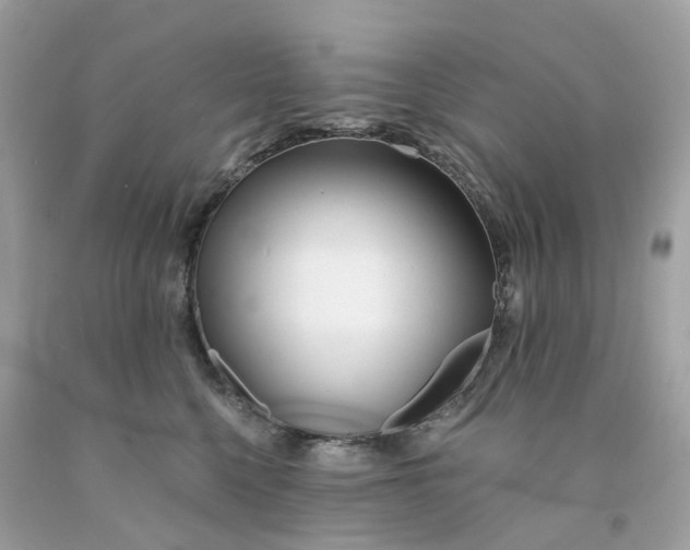 X0000091470568200709061821