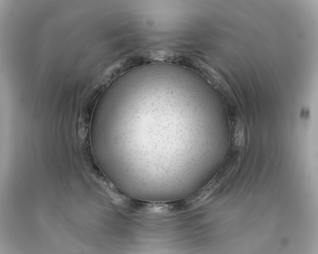 X0000091470569200709061821