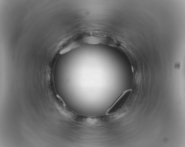 X0000091470570200709061821