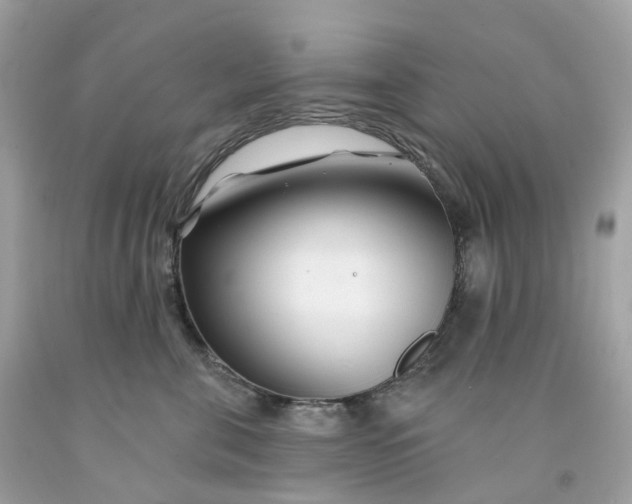 X0000091470571200709061821