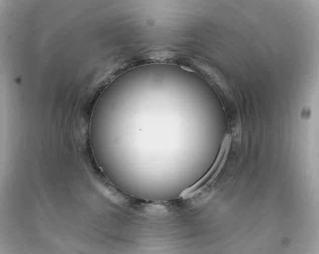 X0000091470572200709061821