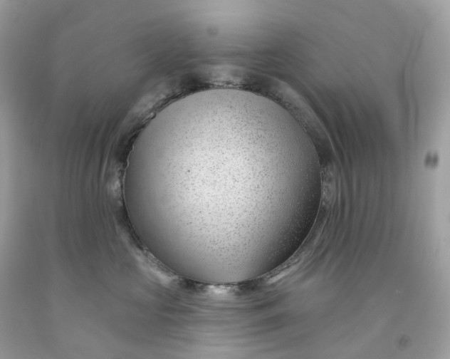 X0000091470573200709061821