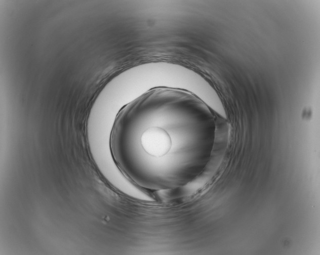 X0000091470574200709061821