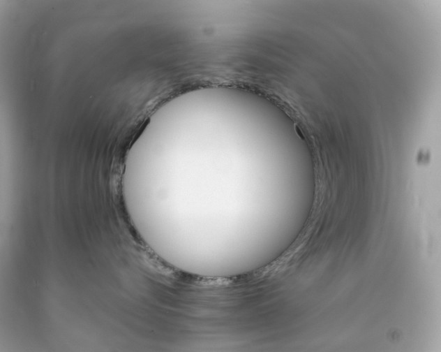 X0000091470576200709061821