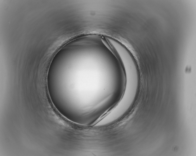 X0000091470577200709061820