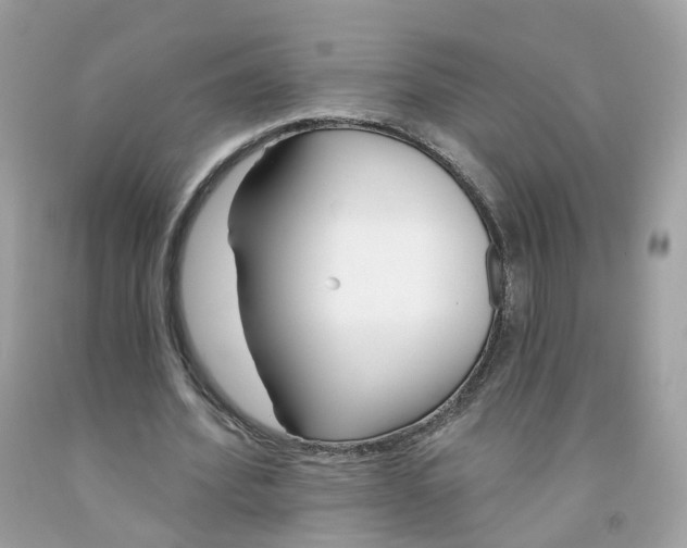 X0000091470580200709061820