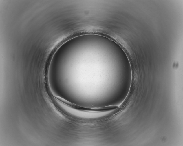 X0000091470581200709061820