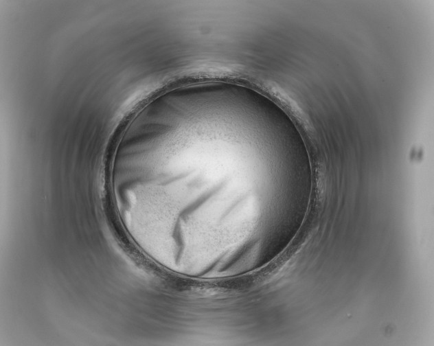 X0000091470582200709061820