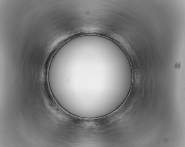 X0000091470583200709061820