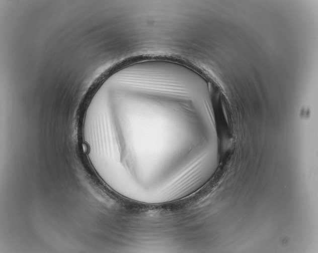 X0000091470584200709061820