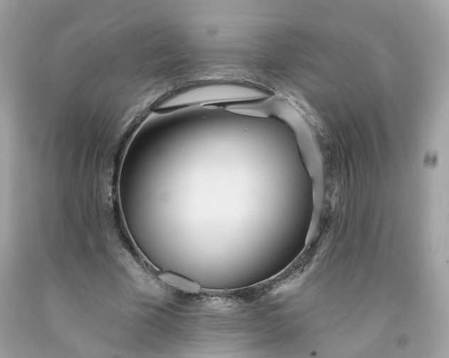 X0000091470585200709061820