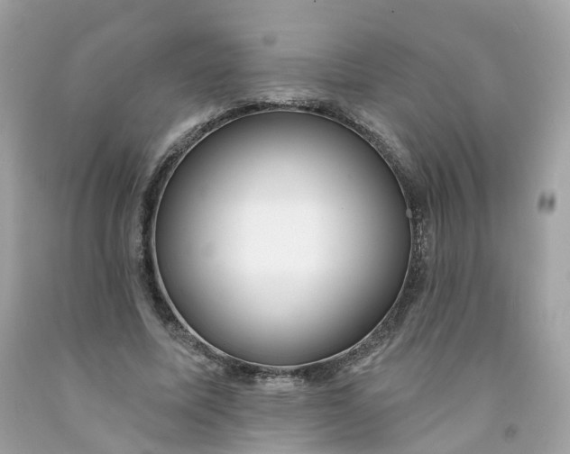 X0000091470587200709061820