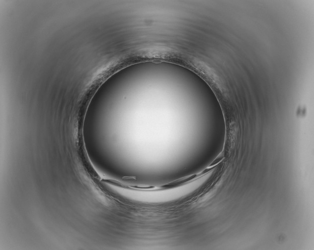 X0000091470589200709061820