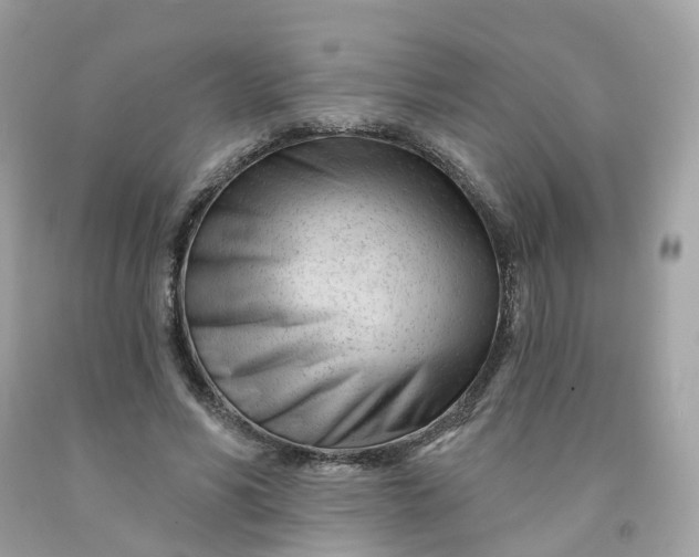 X0000091470590200709061820