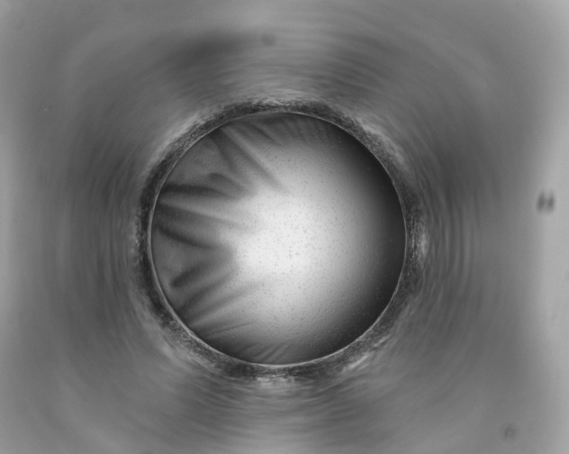 X0000091470591200709061820