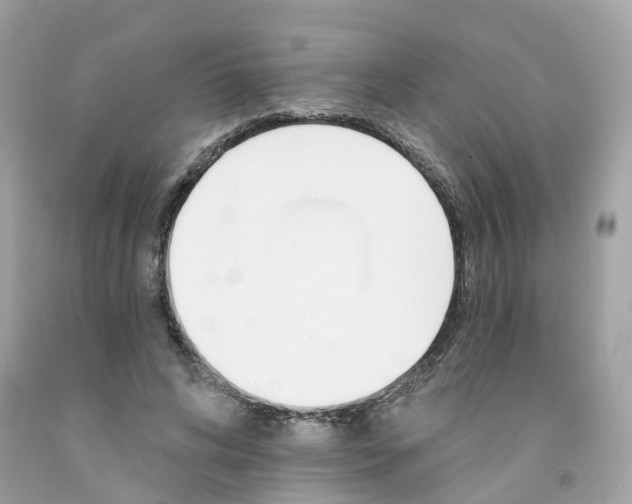 X0000091470592200709061820