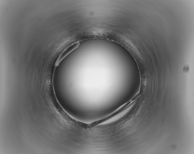 X0000091470593200709061820