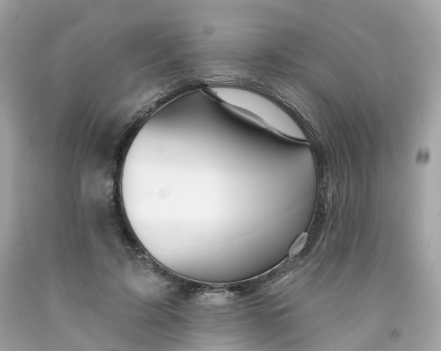 X0000091470595200709061820