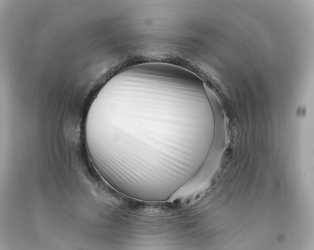 X0000091470596200709061820