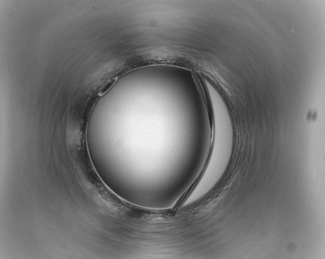 X0000091470597200709061820