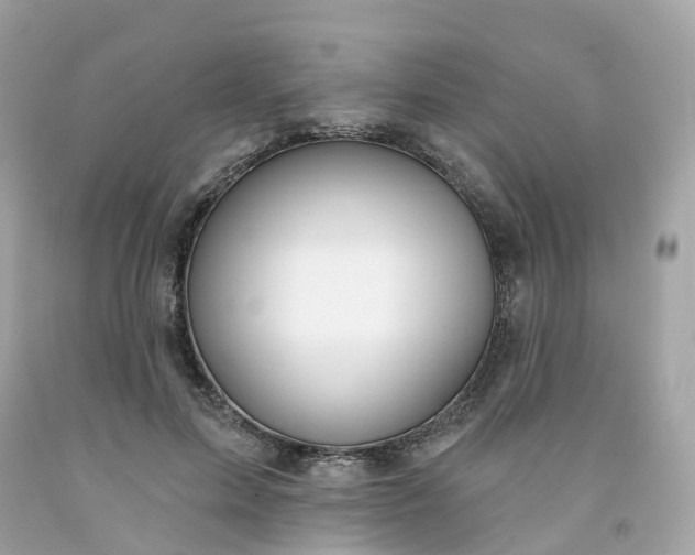 X0000091470599200709061820