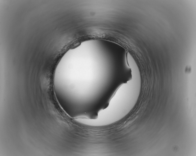 X0000091470600200709061820