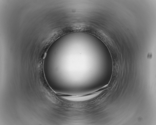 X0000091470601200709061820