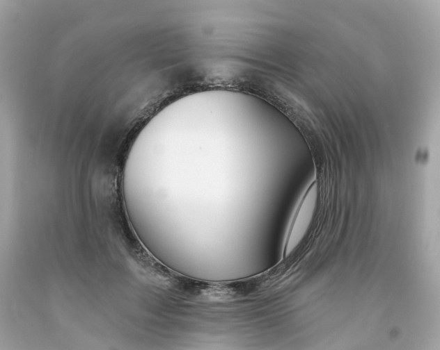 X0000091470603200709061820