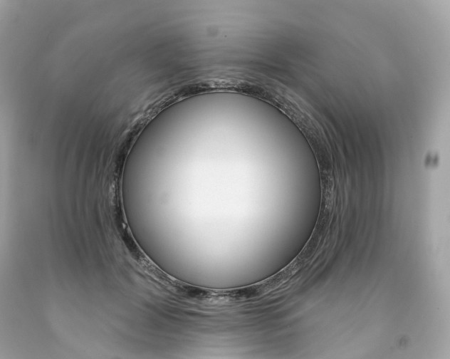 X0000091470604200709061820