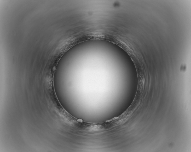 X0000091470609200709061820