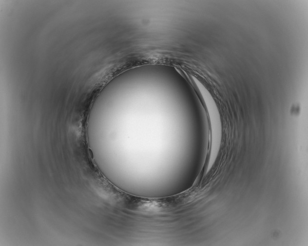 X0000091470611200709061820