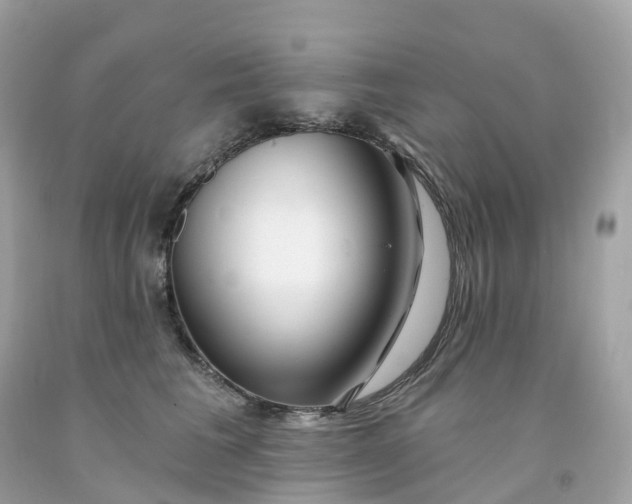 X0000091470613200709061819