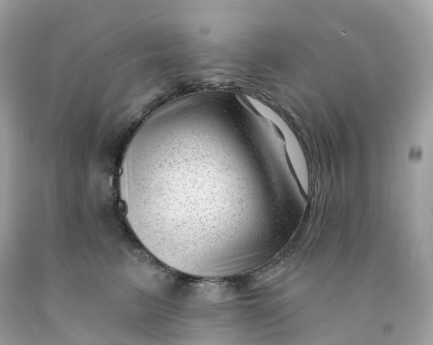 X0000091470615200709061819