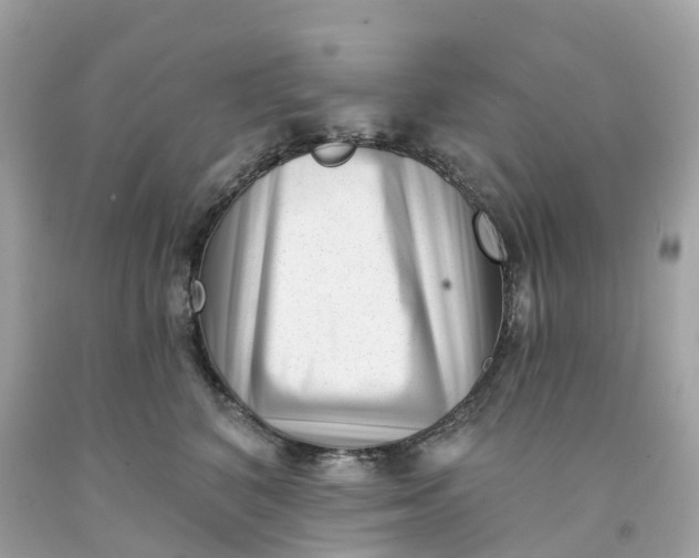 X0000091470616200709061819