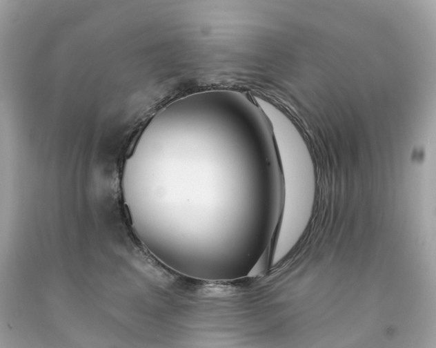 X0000091470617200709061819