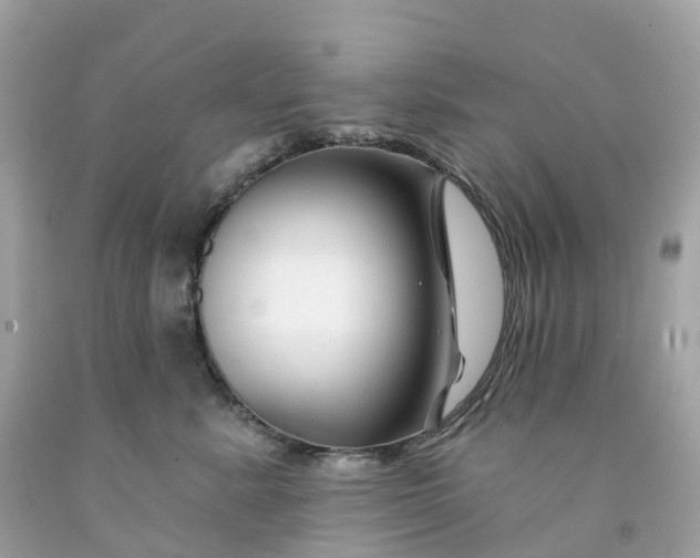 X0000091470619200709061819