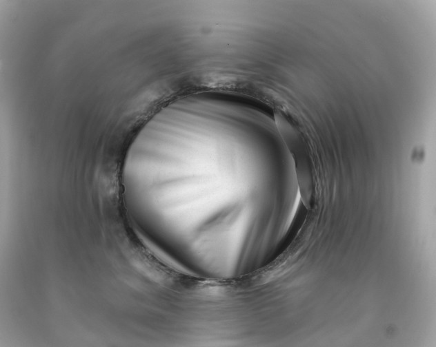 X0000091470620200709061819